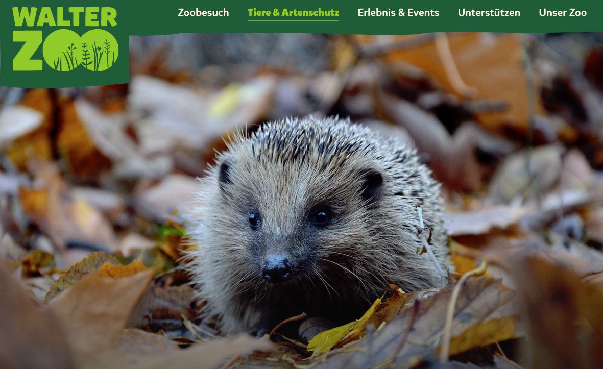 Igel Walter Zoo Webseite