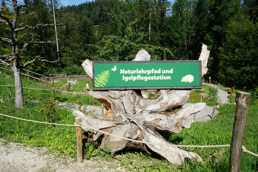 Igelpflegestation im Walter Zoo