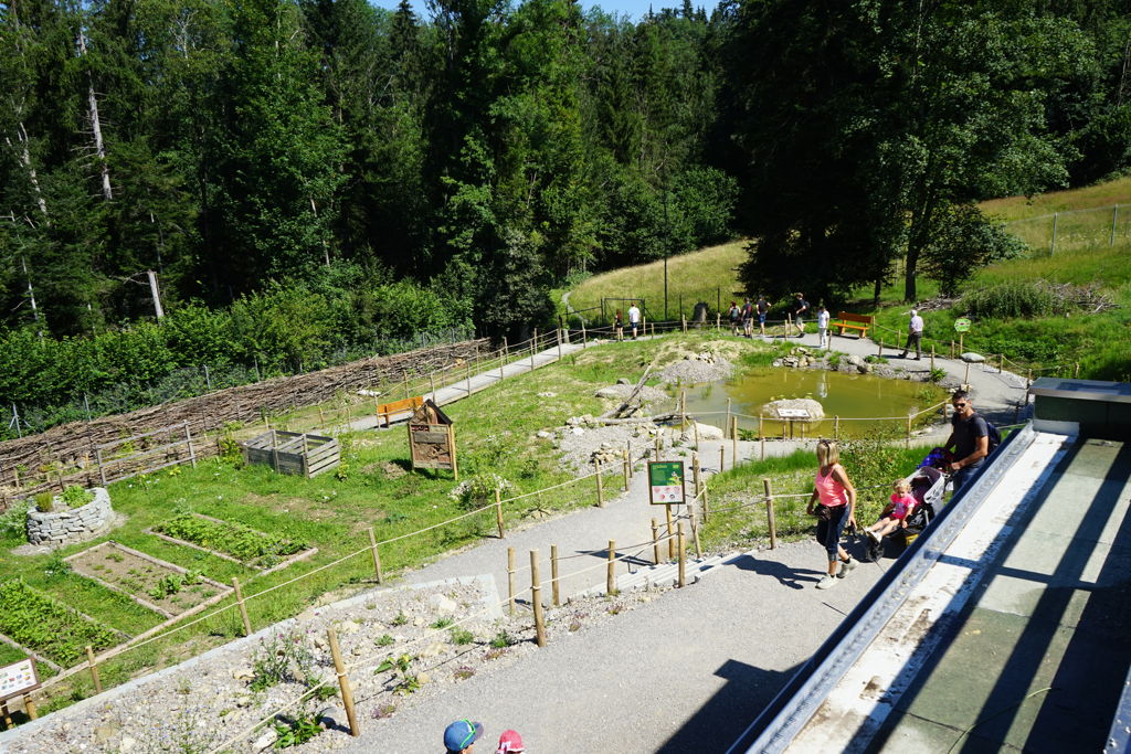Igelpflegestation im Walter Zoo