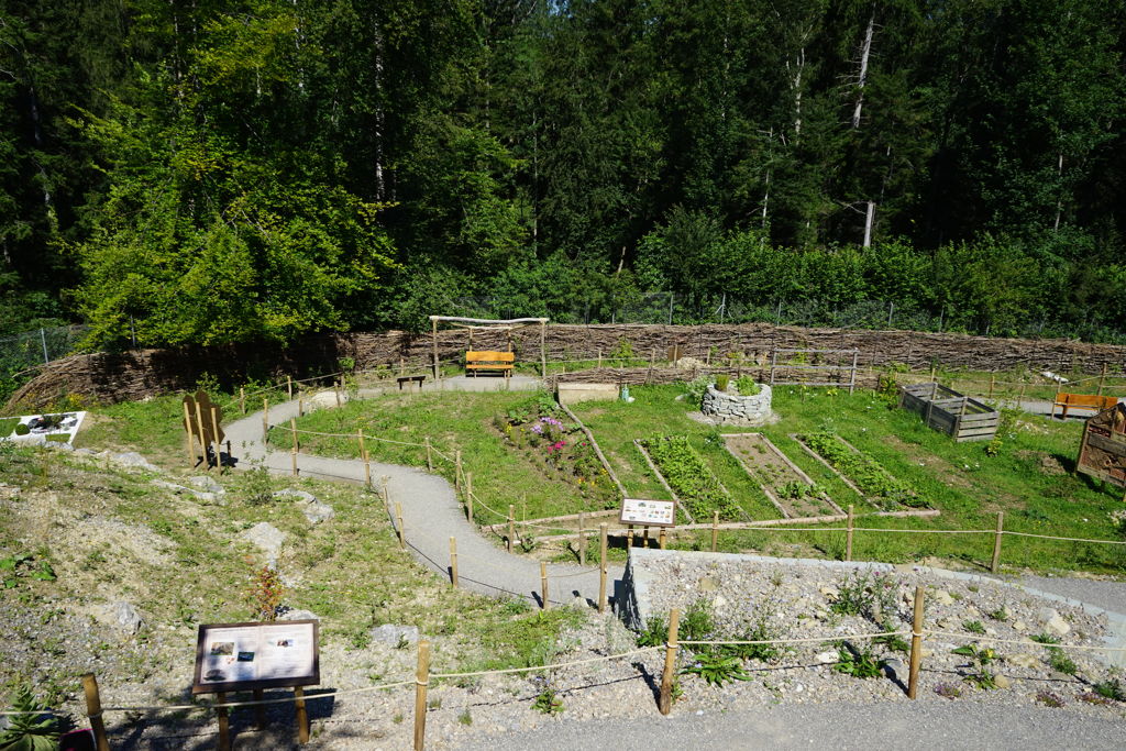 Igelpflegestation im Walter Zoo