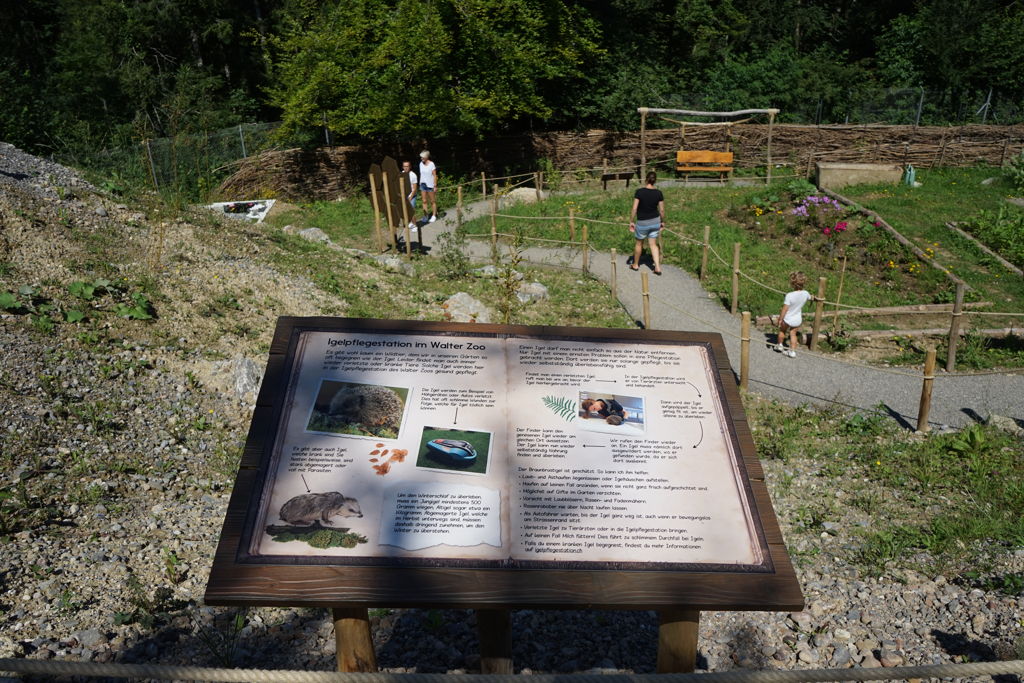 Igelpflegestation im Walter Zoo