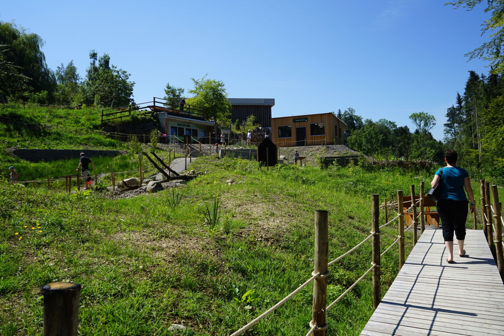 Igelpflegestation im Walter Zoo