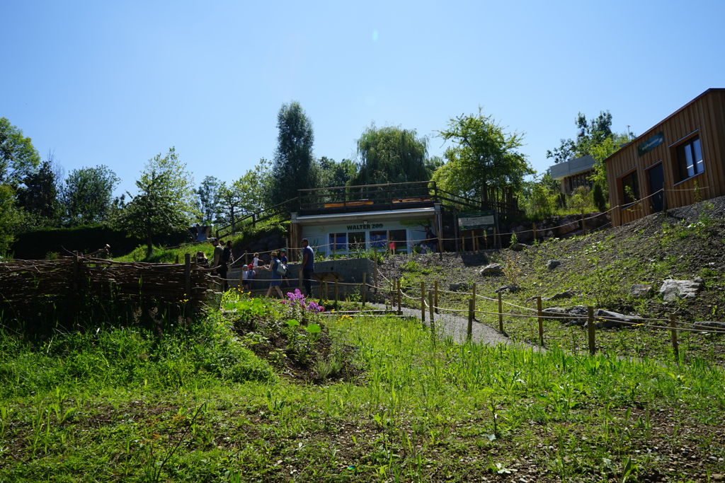 Igelpflegestation im Walter Zoo