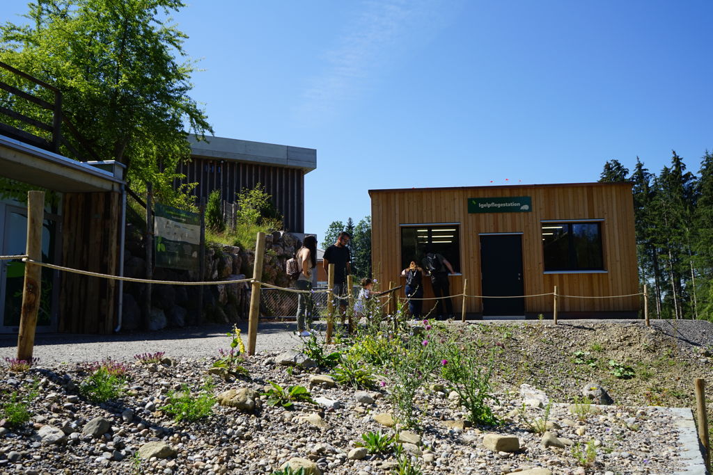 Igelpflegestation im Walter Zoo